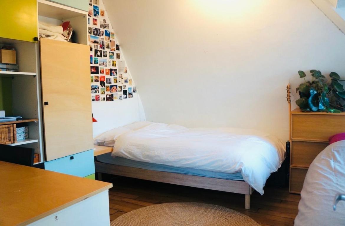 Vue Panoramique Sur Les Toits De Appartement Parijs